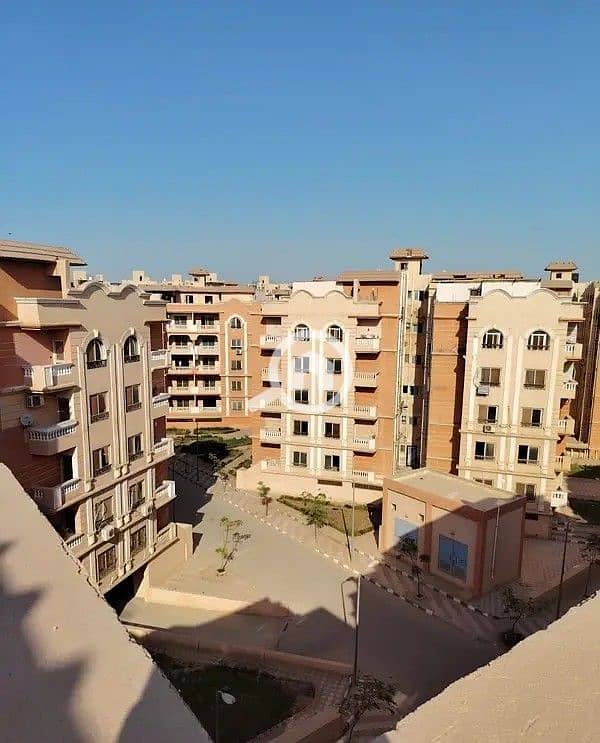 10 147869228-600x450. jpg