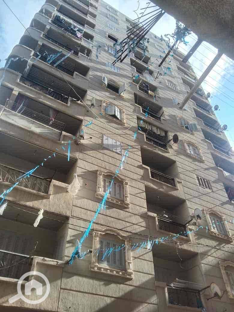 15 25408db9-65ce-4452-a5c2-fa758ffc3cbe. jpg