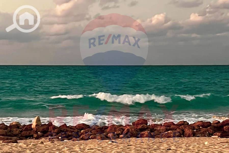 4 WhatsApp Image 2025-10-26 at 2.21. 46 PM. JPG