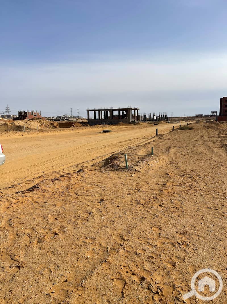 4 WhatsApp Image 2025-03-09 at 11.10. 12 AM (1). jpeg