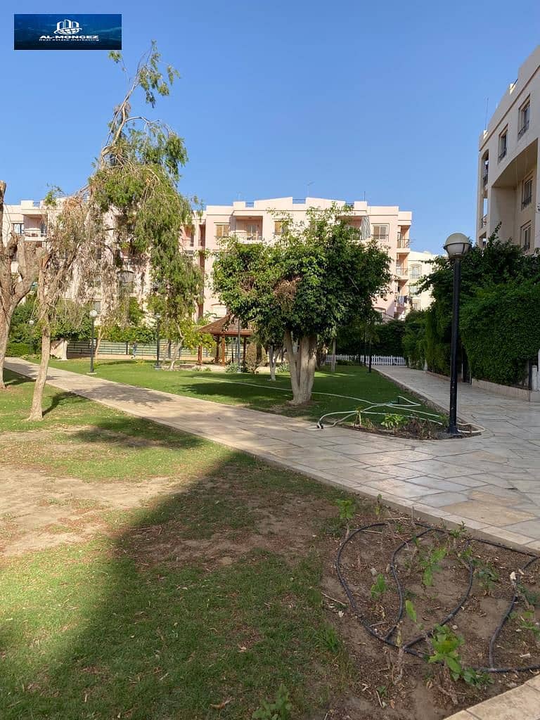 13 WhatsApp Image 2025-11-01 at 15.16. 42_bbae57c6. jpg