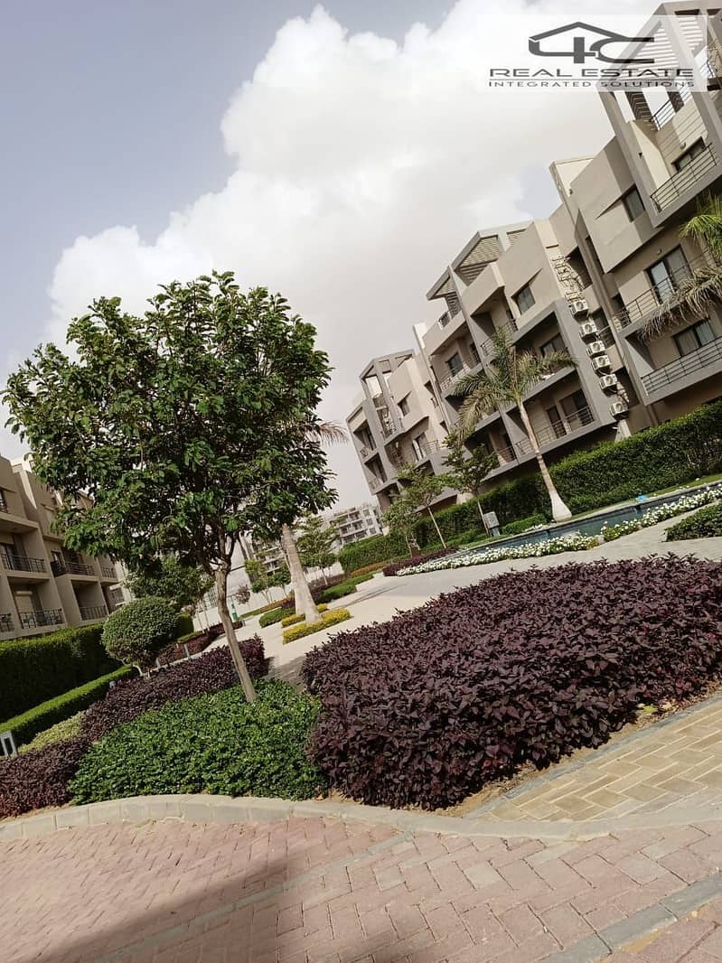 4 WhatsApp Image 2024-11-03 at 6.02. 02 PM. jpeg