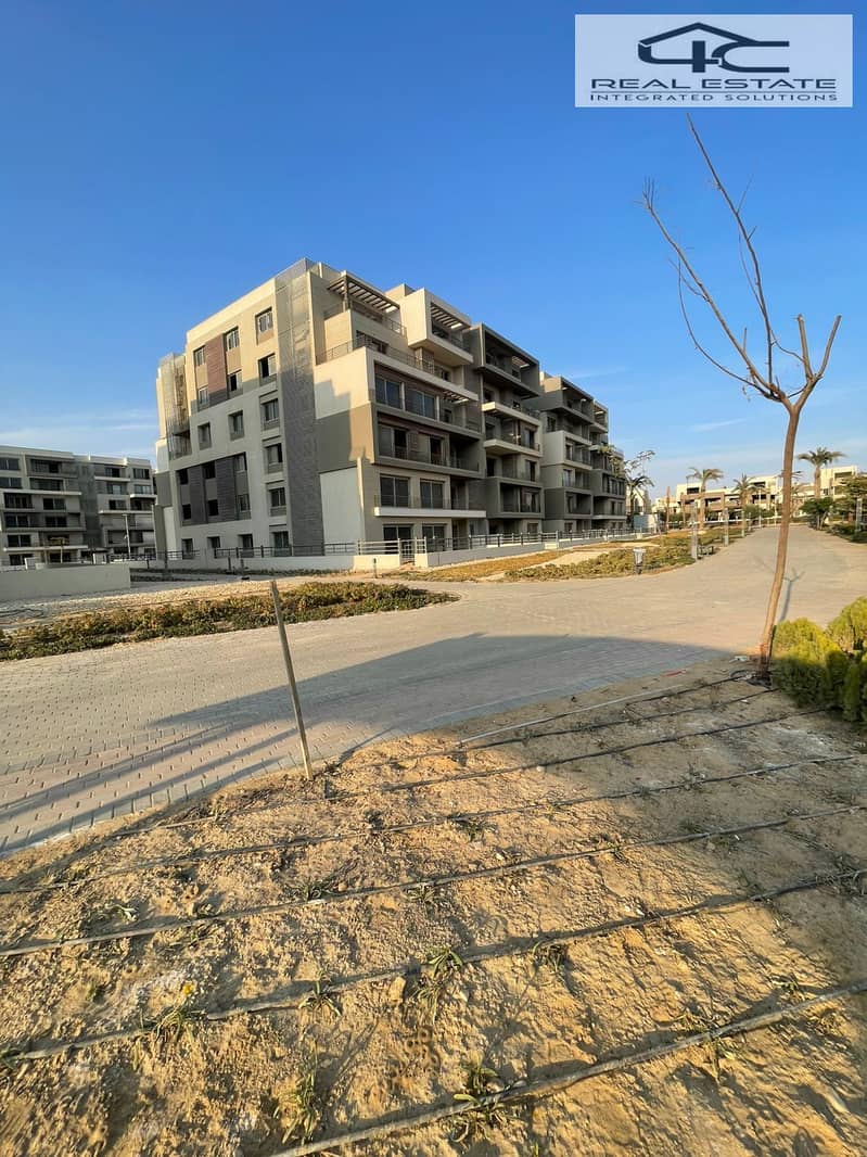 3 WhatsApp Image 2025-10-14 at 09.27. 37. jpeg