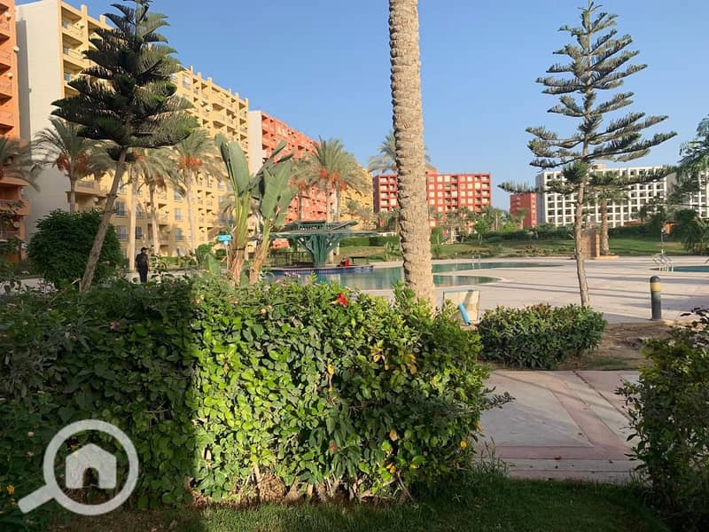 2 IMG-20251101-WA0025. jpg