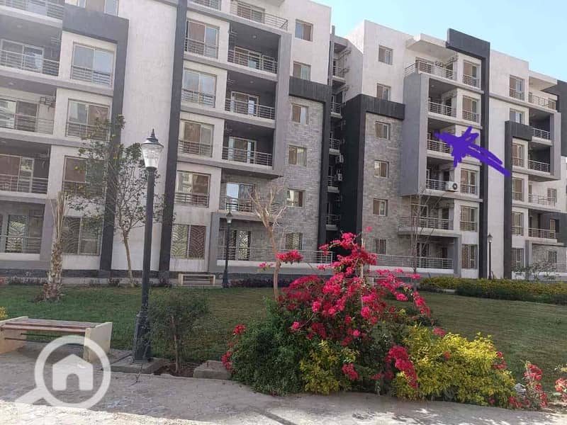 5 ca793a60-142b-4829-a17f-63289178d564. jpg