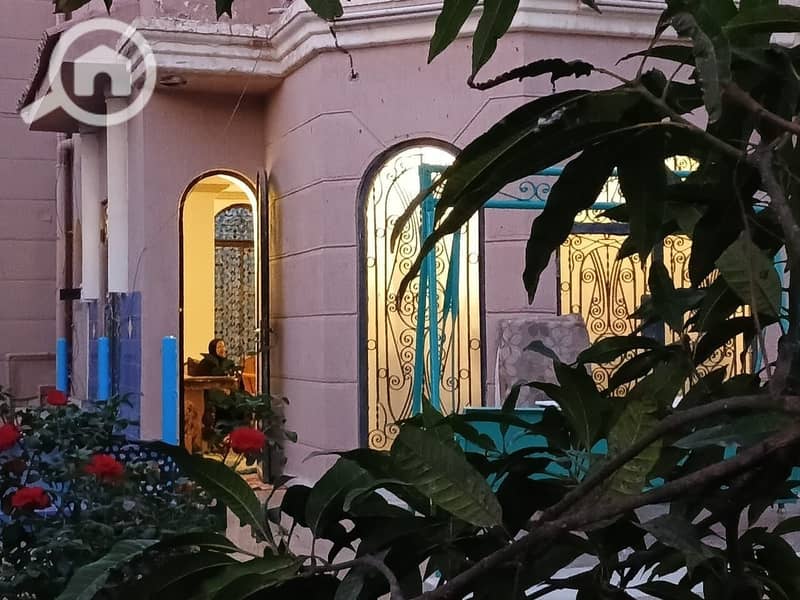 4 photo_4_2025-11-01_15-50-55. jpg