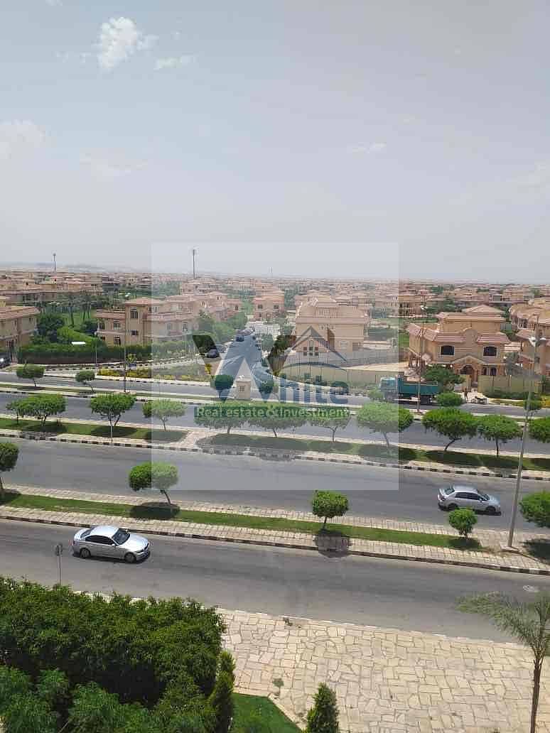 4 0684738d-a848-42e4-bce7-99a7b76570bf. jpg