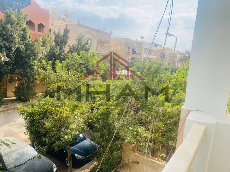 8 photo_5776001410305559720_y. jpg