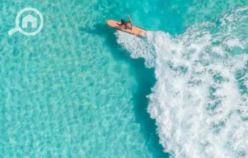 3 61a6745a-1cd7-47bb-bc09-bd57947f137e. jpeg