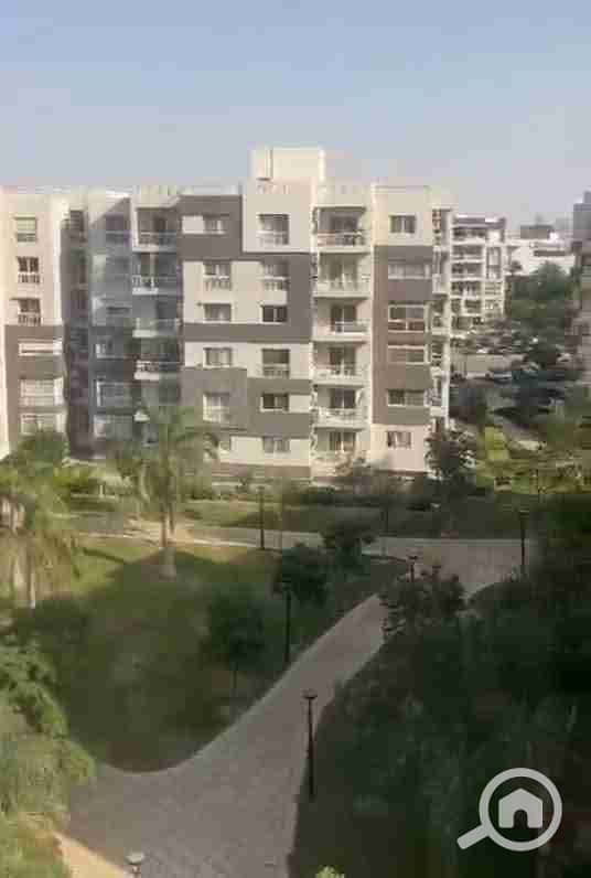 1000804774. jpg 1000804774. jpg