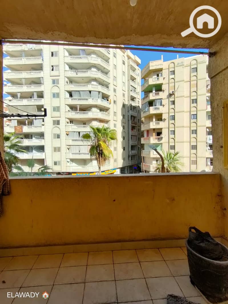 12 WhatsApp Image 2025-10-24 at 1.03. 26 AM. jpeg