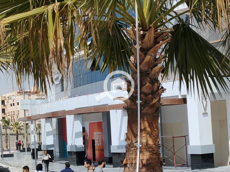 WhatsApp Image 2022-03-30 at 1.44. 02 PM (1). jpeg