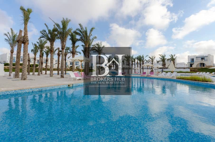 555644102_3382574125216339_7113626555891729628_n. jpg