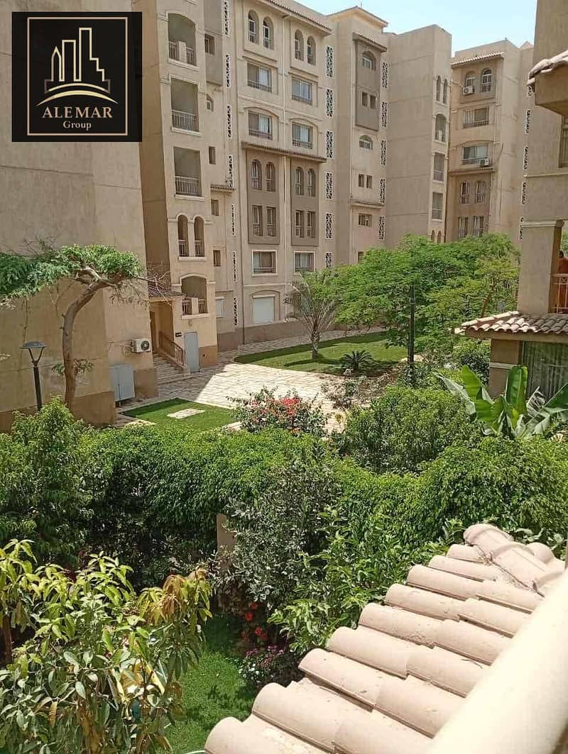 4 cca04f0a-a87e-4bbd-8974-b5b329c29d3e. jpg