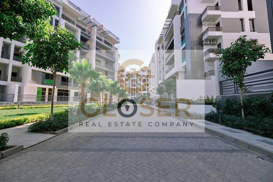 3 450919093_1187291262479273_5809205979235420289_n. jpg