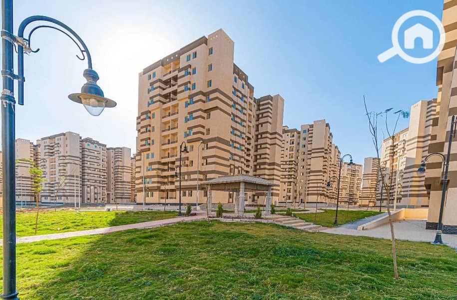 11 480535025_1084368180160740_5470241378671059544_n. jpg