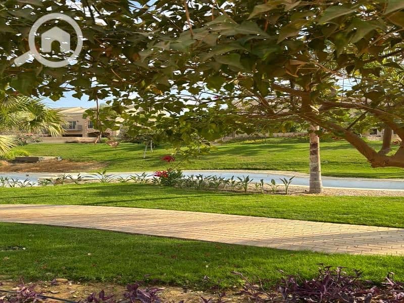 4 WhatsApp Image 2025-10-31 at 2.03. 51 AM (3). jpg