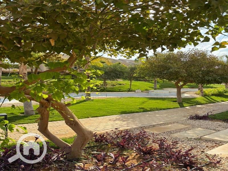 5 WhatsApp Image 2025-10-31 at 2.03. 51 AM (2). jpg