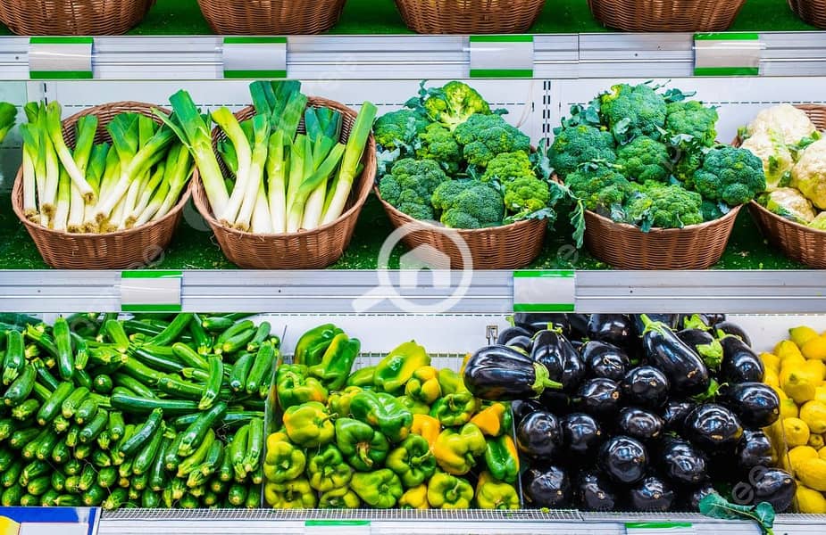 4 WhatsApp Image 2025-11-01 at 6.22. 13 PM(1). jpeg