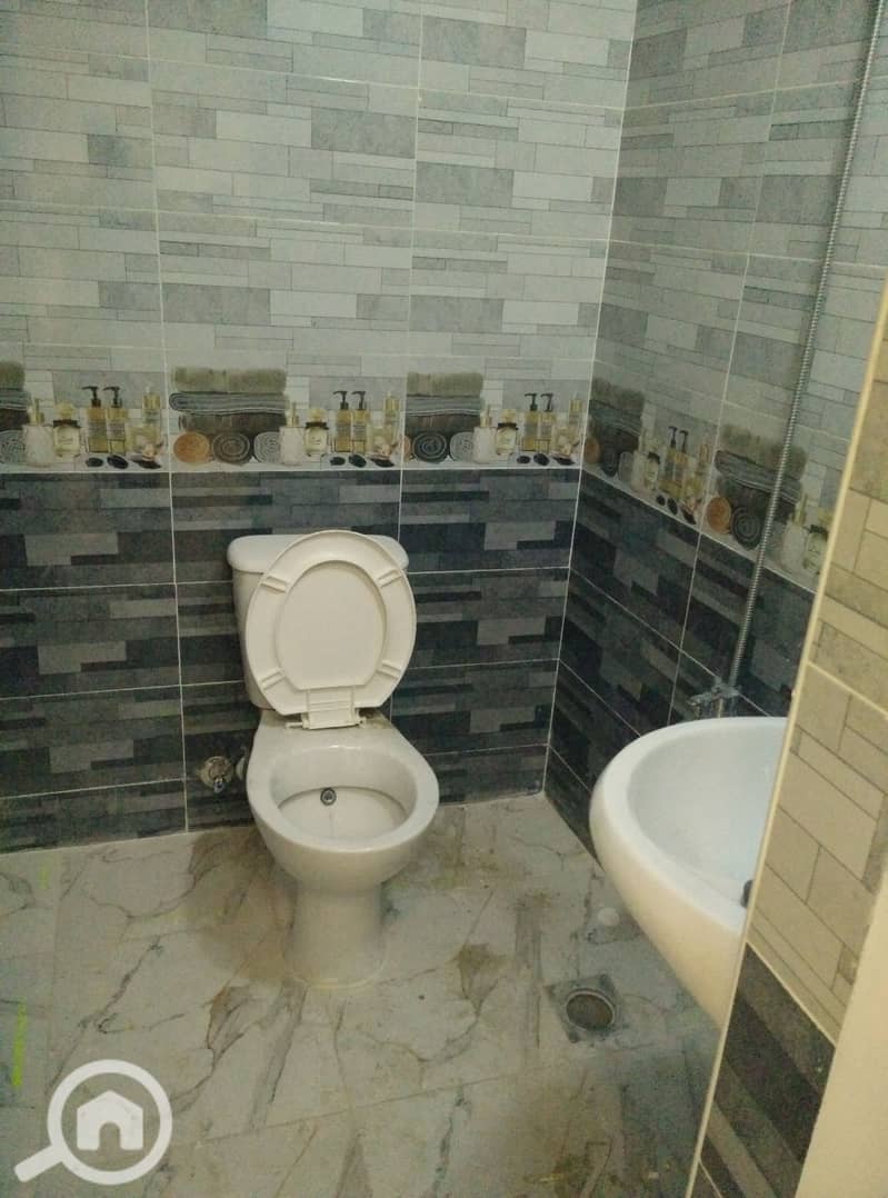 3 IMG_٢٠٢١٠٢٠٨_١٨١٢٣٩. jpg