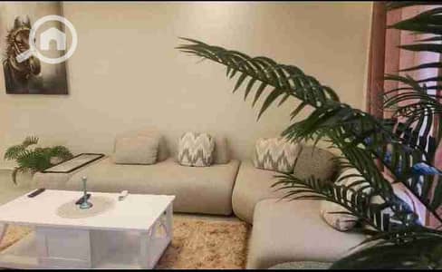 2 Bedroom Flat for Rent in New Cairo, Cairo - 1000366563. jpg