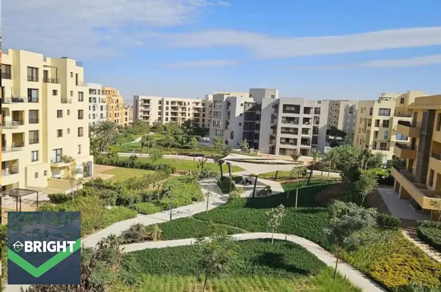 3 15b63295-01b9-4e6d-b5fd-66b98329ac31. jpg