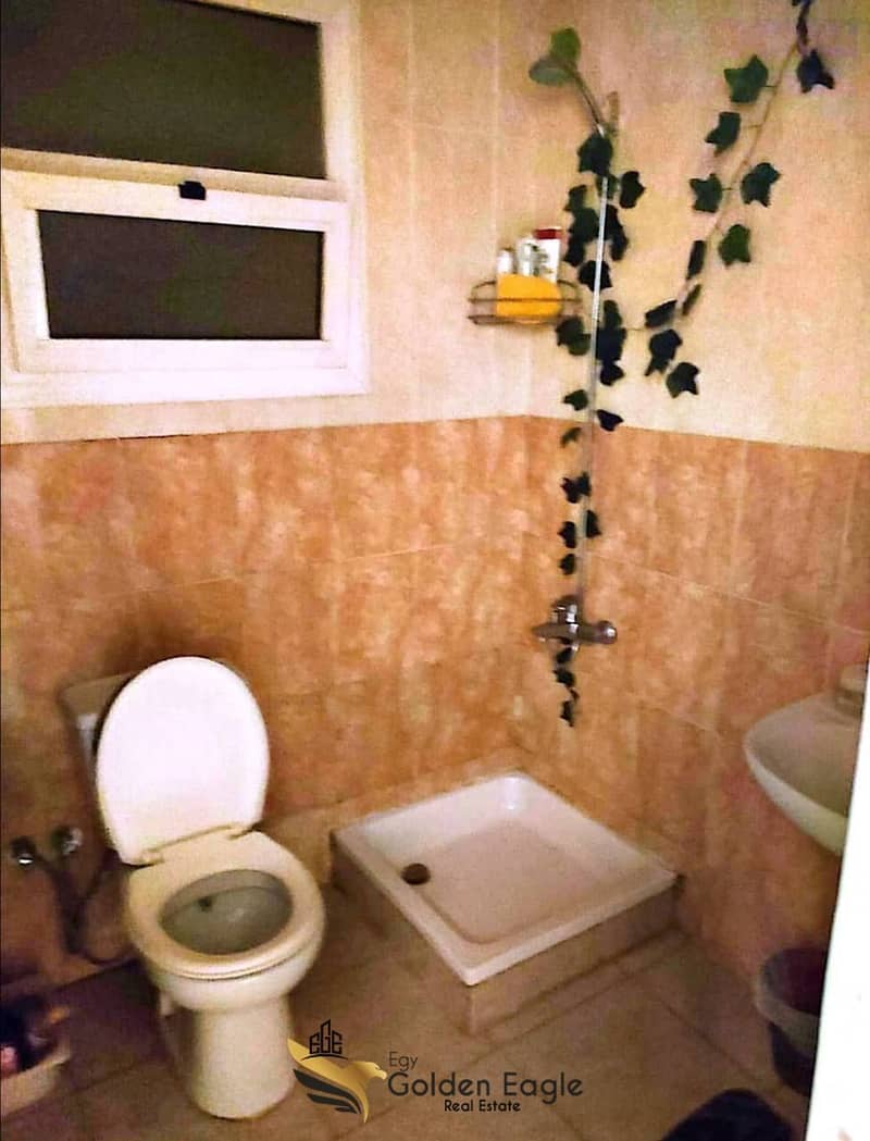 4 573601170_1500095091221018_3115290087719597627_n. jpg