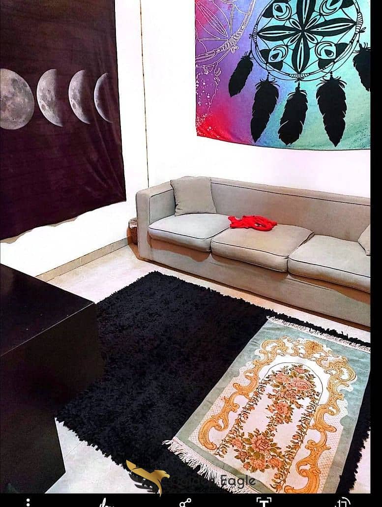 7 574942217_1500095177887676_1111114912776315658_n. jpg