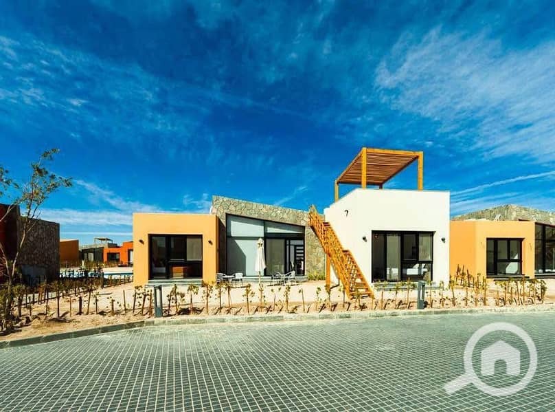 7 551693804_1522691035422512_6395678748726674670_n. jpg