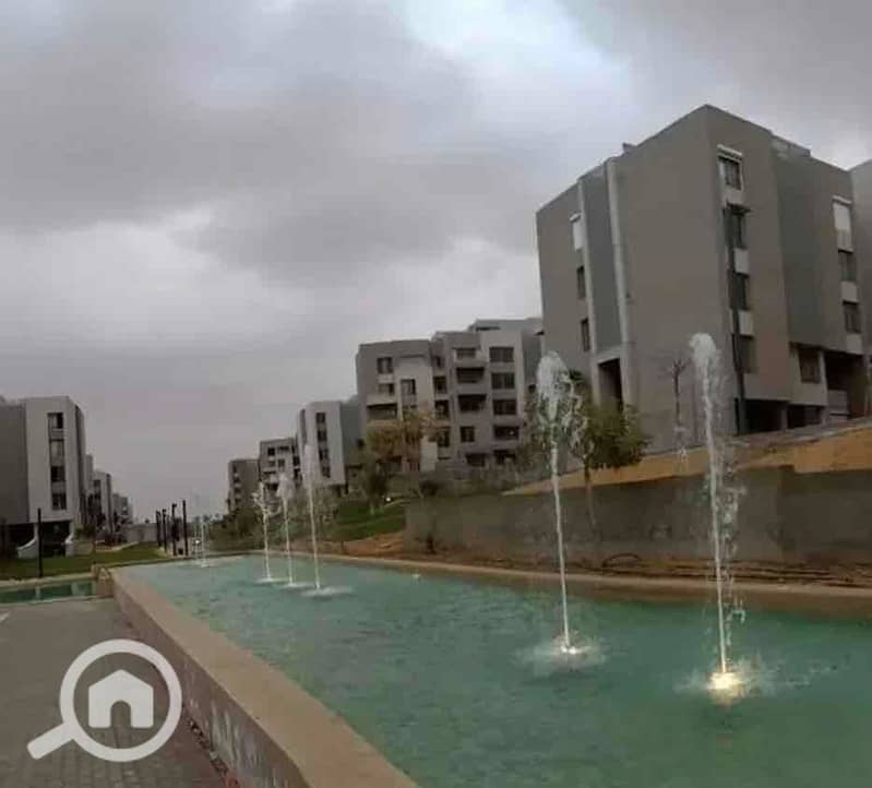 IMG_3334. jpg IMG_3334. jpg