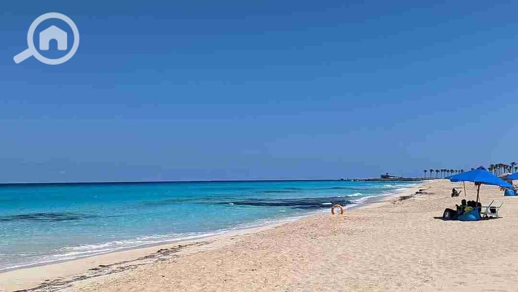 IMG-20251024-WA0035. jpg IMG-20251024-WA0035. jpg