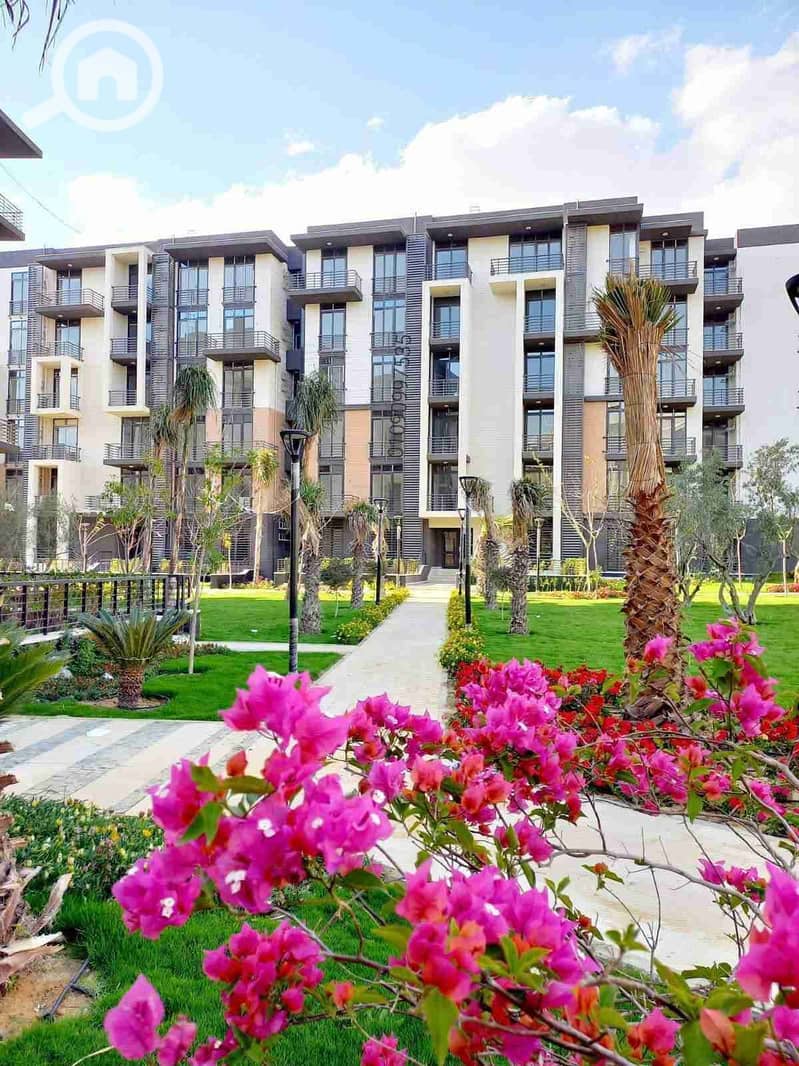 1000744738. jpg 1000744738. jpg