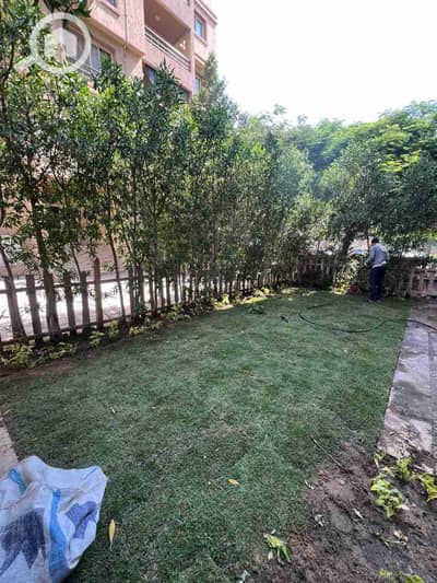 3 Bedroom Apartment for Rent in Madinaty, Cairo - 1000391521. jpg