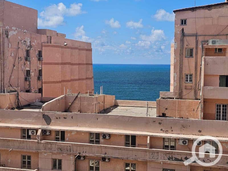 13 61b19531-27de-497c-b183-72c4237d39d1. jpg