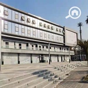 9 04f7dc53-560e-4945-a6b8-a609508eef3f. jpg