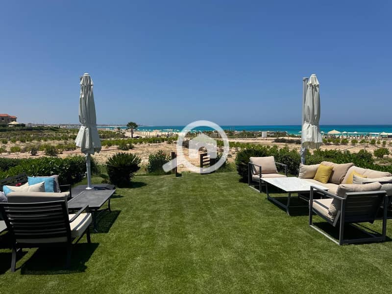 5 WhatsApp Image 2025-10-19 at 23.50. 34_9874cfcb. jpg