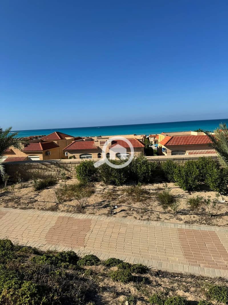 15 WhatsApp Image 2025-10-19 at 23.50. 40_688f61bb. jpg