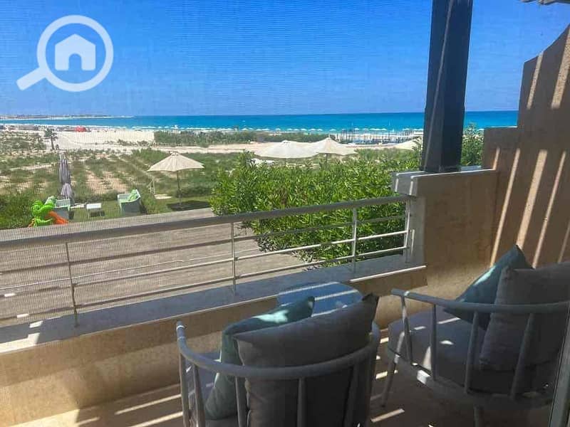 4 4397ef63-2c7d-4801-bc48-d7df7be04cef. jpg