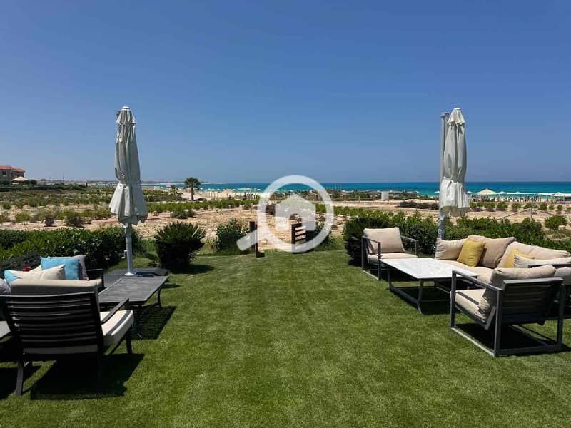 12 032d4276-d831-4819-a554-248715c074b2. jpg