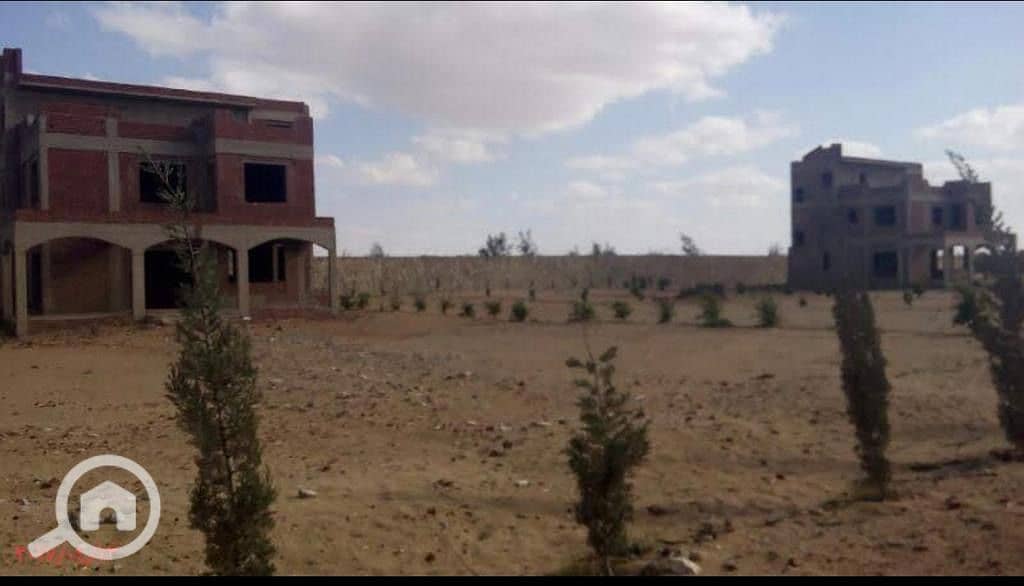 2 37d40071-8813-466a-89e8-67e414861209. jpeg