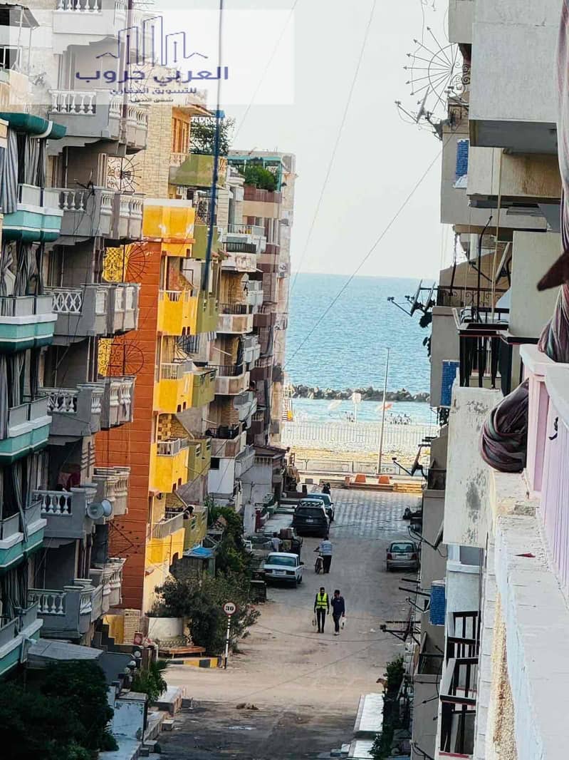 4 8ea8600c-cd20-4080-9a56-cc87504234d3. jpg