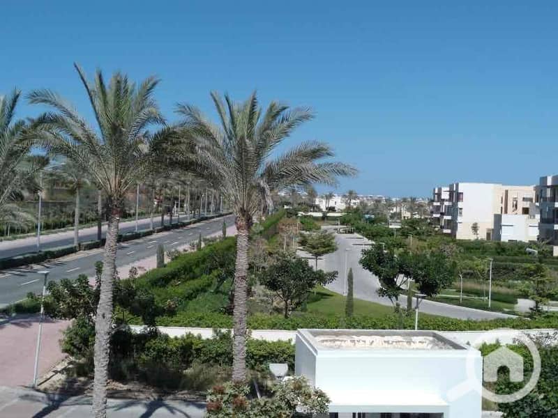 4 0722d3e0-298b-411e-a6bf-cd3f214b604f. jpg