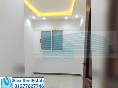 Office for Rent in Smoha, Alexandria - WhatsApp Image 2025-11-02 at 8.23. 22 AM. jpeg