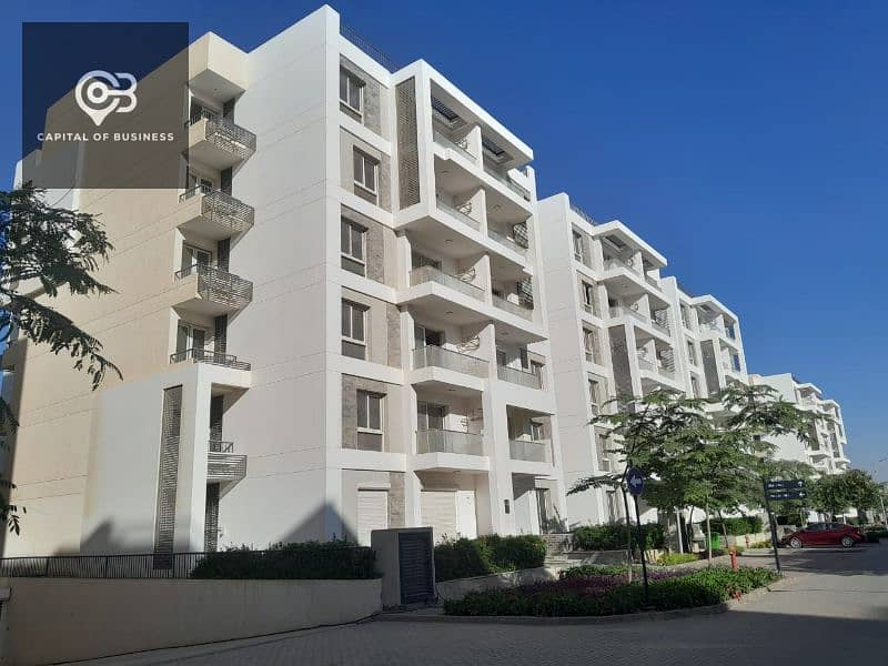 5 8c869fd5-fa5b-40cb-8758-7875d7137473. jpg