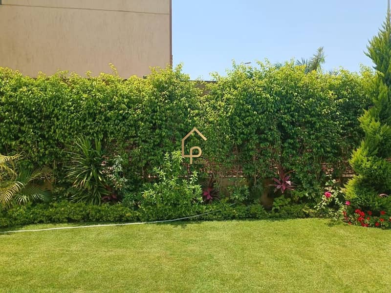 5 WhatsApp Image 2025-10-30 at 5.05. 25 PM (2). jpeg