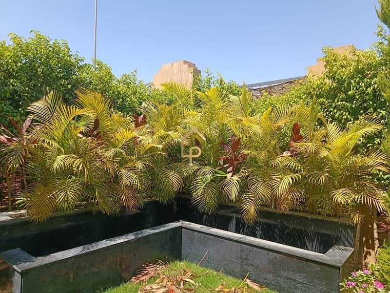 10 WhatsApp Image 2025-10-30 at 5.05. 27 PM. jpeg