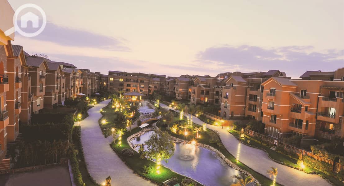 11 web-pic-21-1. jpg