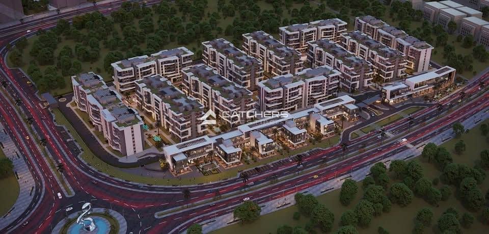 6 559194789_800146689604127_2668790354286067215_n. jpg