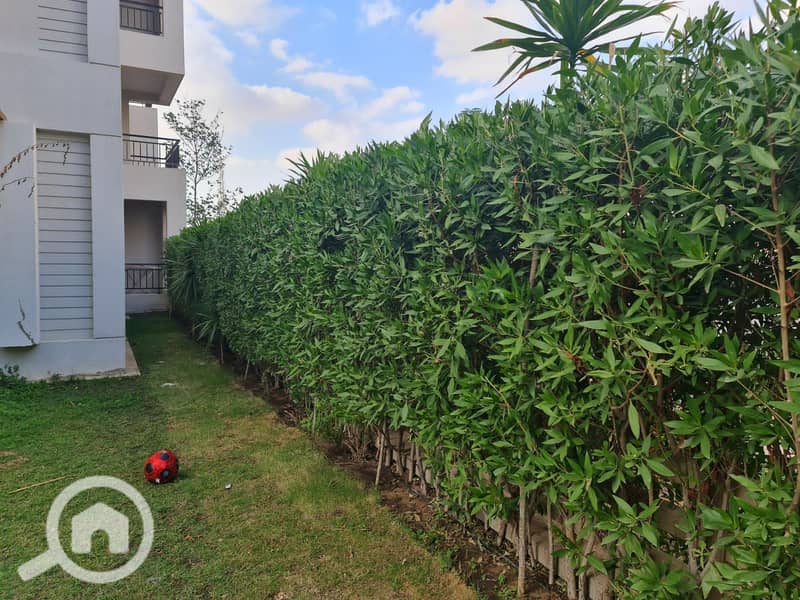 5 WhatsApp Image 2025-10-19 at 4.14. 08 PM (1). jpeg