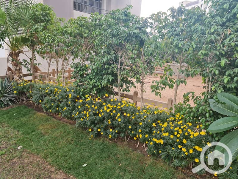 11 WhatsApp Image 2025-10-19 at 4.14. 10 PM (3). jpeg